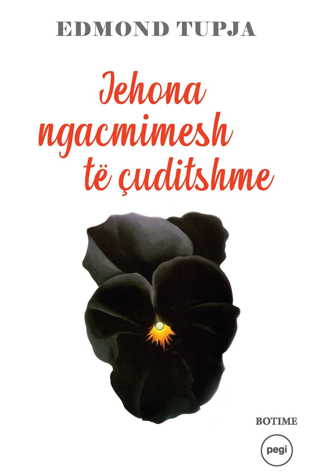 images/book-images/jehona nagcmimesh te cuditshme per shtyp.jpg